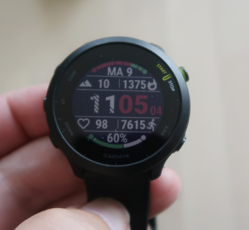 garmin forerunner 55 kellotaulu